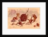 The Crab Pot by Ernest Griset