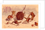 The Crab Pot by Ernest Griset