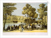 The Crystal Palace from the grounds by Unknown