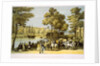 The Crystal Palace from the grounds by Unknown