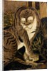 Tiger, depicted on a painted screen. Japan, 17th century by Anonymous