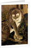 Tiger, depicted on a painted screen. Japan, 17th century by Anonymous