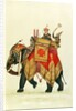 Akbar II mounted on an elephant, Delhi Company School by Delhi Company School