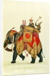 Akbar II mounted on an elephant, Delhi Company School by Delhi Company School