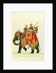 Akbar II mounted on an elephant, Delhi Company School by Delhi Company School
