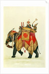 Akbar II mounted on an elephant, Delhi Company School by Delhi Company School