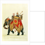 Akbar II mounted on an elephant, Delhi Company School by Delhi Company School