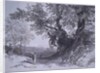 Paliano by Edward Lear