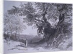 Paliano by Edward Lear