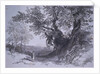 Paliano by Edward Lear