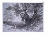 Paliano by Edward Lear