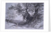 Paliano by Edward Lear