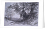 Paliano by Edward Lear