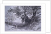 Paliano by Edward Lear