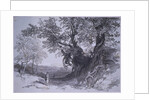 Paliano by Edward Lear