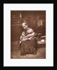The Crawlers by John Thomson