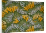 Crocus by George Charles Haite