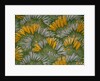 Crocus by George Charles Haite