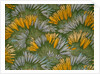 Crocus by George Charles Haite