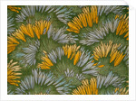 Crocus by George Charles Haite