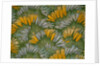Crocus by George Charles Haite
