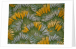 Crocus by George Charles Haite