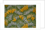 Crocus by George Charles Haite