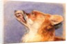Head of a Fox by John Frederick Lewis