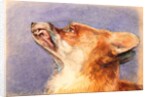 Head of a Fox by John Frederick Lewis