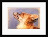 Head of a Fox by John Frederick Lewis