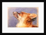 Head of a Fox by John Frederick Lewis