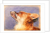 Head of a Fox by John Frederick Lewis