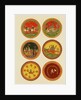 Playing cards. India, 16th century by Unknown