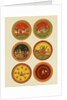 Playing cards. India, 16th century by Unknown