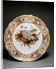 Plate by Unknown
