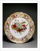 Plate by Unknown