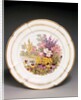 Plate by Thomas Baxter