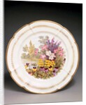 Plate by Thomas Baxter
