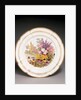 Plate by Thomas Baxter