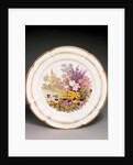Plate by Thomas Baxter