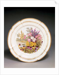 Plate by Thomas Baxter
