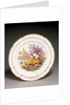 Plate by Thomas Baxter