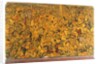 Battle scene depicted on a book cover. Persia, 1739 by Anonymous