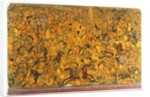 Battle scene depicted on a book cover. Persia, 1739 by Anonymous