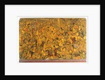 Battle scene depicted on a book cover. Persia, 1739 by Anonymous