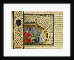 Initial S, from Pliny's Natural History. Italy, mid-15th century by Pliny the Elder