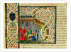 Initial S, from Pliny's Natural History. Italy, mid-15th century by Pliny the Elder