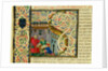 Initial S, from Pliny's Natural History. Italy, mid-15th century by Pliny the Elder