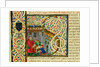 Initial S, from Pliny's Natural History. Italy, mid-15th century by Pliny the Elder