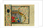 Initial S, from Pliny's Natural History. Italy, mid-15th century by Pliny the Elder